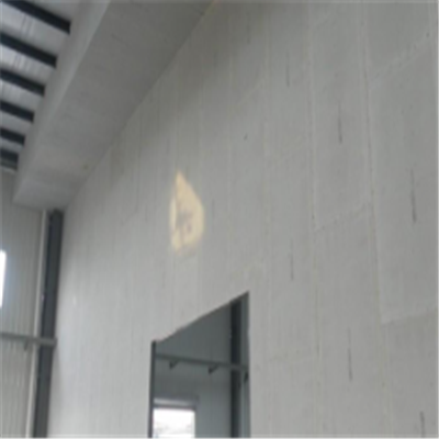 荔湾宁波ALC板|EPS加气板隔墙与混凝土整浇联接的实验研讨